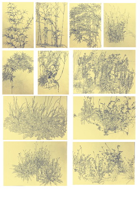 6_调整大小.jpg 6_调整大小.jpg